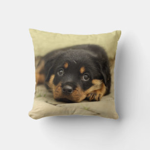 Rottweiler20150901 Throw Pillow