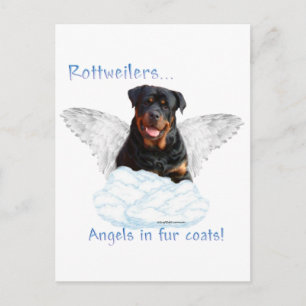 Rottweiler Angel Postcard