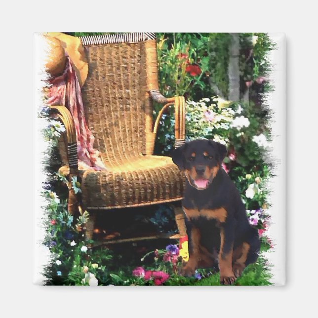 Rottweiler Art Gifts Magnet (Front)