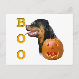 Rottweiler Boo Postcard