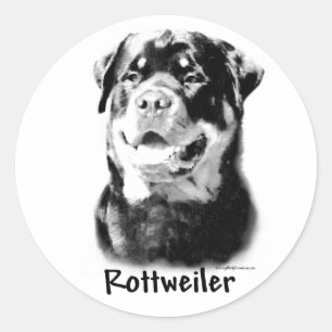 Rottweiler Charcoal Sticker