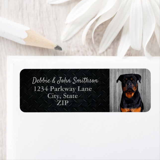 Rottweiler Chien Retourner Adresse Animal Cute Éti (En situation)