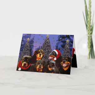 Rottweiler Christmas Holiday Card
