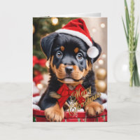 Rottweiler Christmas puppy in a basket