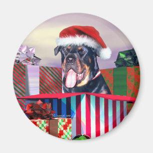 Rottweiler Christmas Surprise Magnet