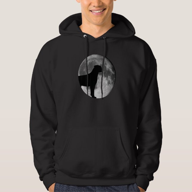 Rottweiler Dog Breed  2 Hoodie (Front)