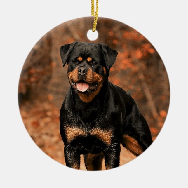 Rottweiler Dog Ceramic Ornament (Front)