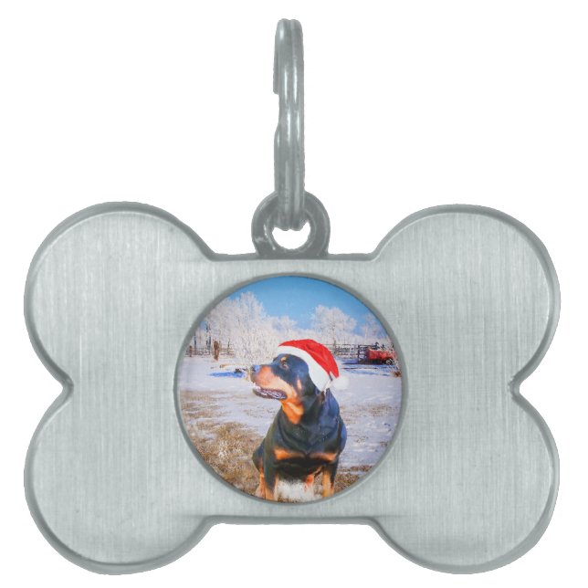 Rottweiler Dog Christmas Painting Pet ID Tag (Front)