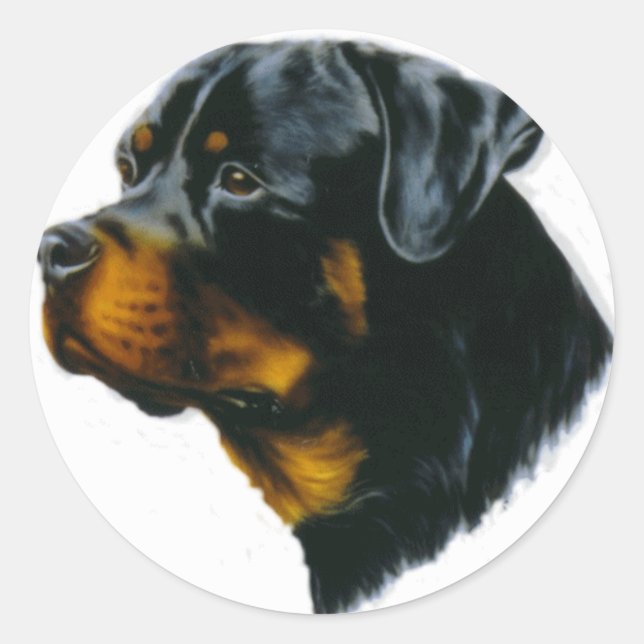 rottweiler dog classic round sticker (Front)