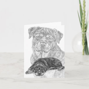 Rottweiler Dog Drawing by Kelli Swan Card