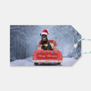 Rottweiler Dog in Snow sitting in Christmas Truck Gift Tags