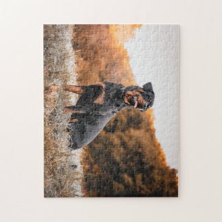 Rottweiler dog jigsaw puzzle