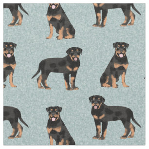 rottweiler dog light blue fabric