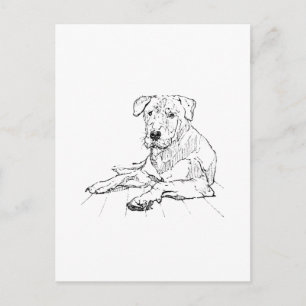 Rottweiler Dog Lover Minimalist Illustration Postcard