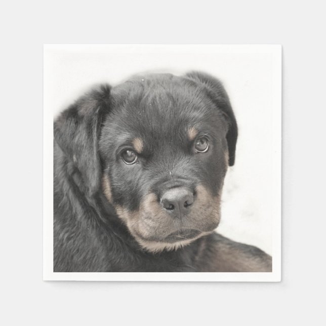 Rottweiler dog napkin (Front)