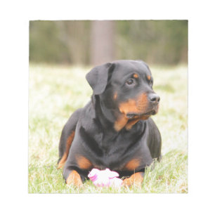 Rottweiler Dog Notepad