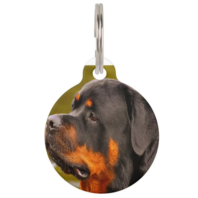 Rottweiler Dog Pet Tag (Front)