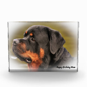 Rottweiler Dog Photo Block