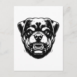 Rottweiler Dog  Postcard