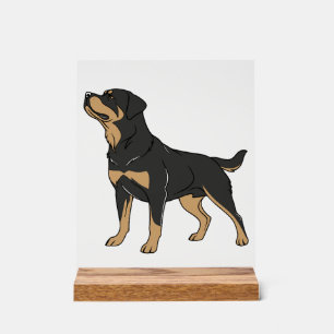Rottweiler Dog, Rottweiler Dog Standing Acrylic Sign