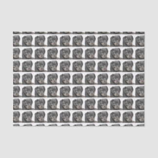 Rottweiler dog tissue paper
