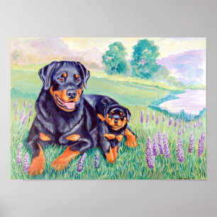 Rottweiler Dog Wall Poster Print