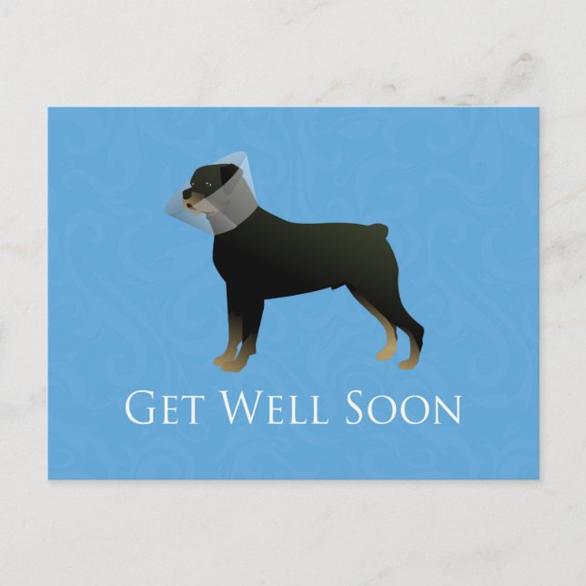 Rottweiler Get Well Soon Design Postcard (Front)