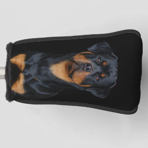 Rottweiler   golf head cover