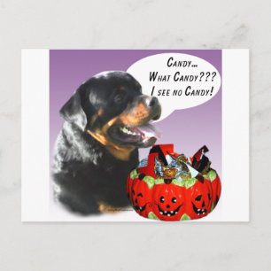 Rottweiler Halloween Candy Postcard