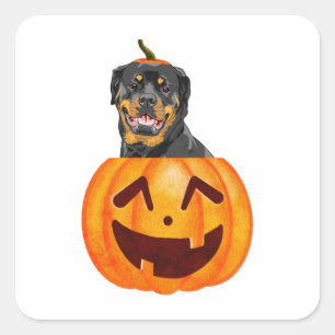 Rottweiler Halloween    Square Sticker