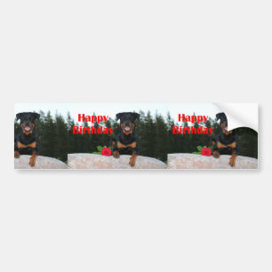 rottweiler happy birthday bumper sticker