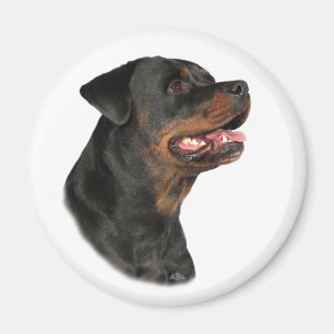 Rottweiler head magnet