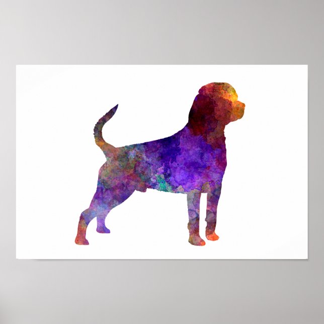 Rottweiler in watercolor poster (Front)