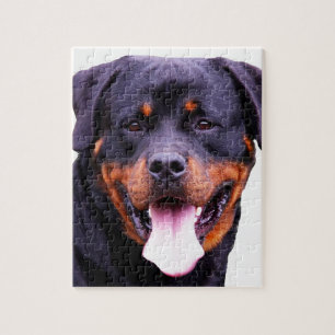 rottweiler jigsaw puzzle