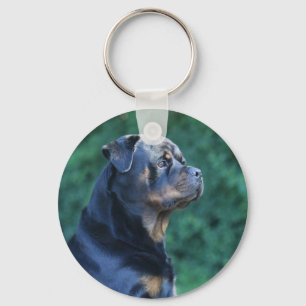 Rottweiler keychain