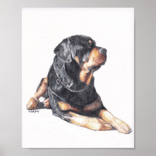Rottweiler Laying Dog Art Print