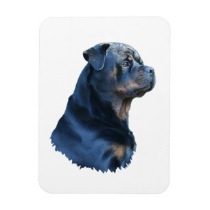 Rottweiler magnet