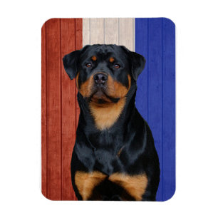 Rottweiler magnet