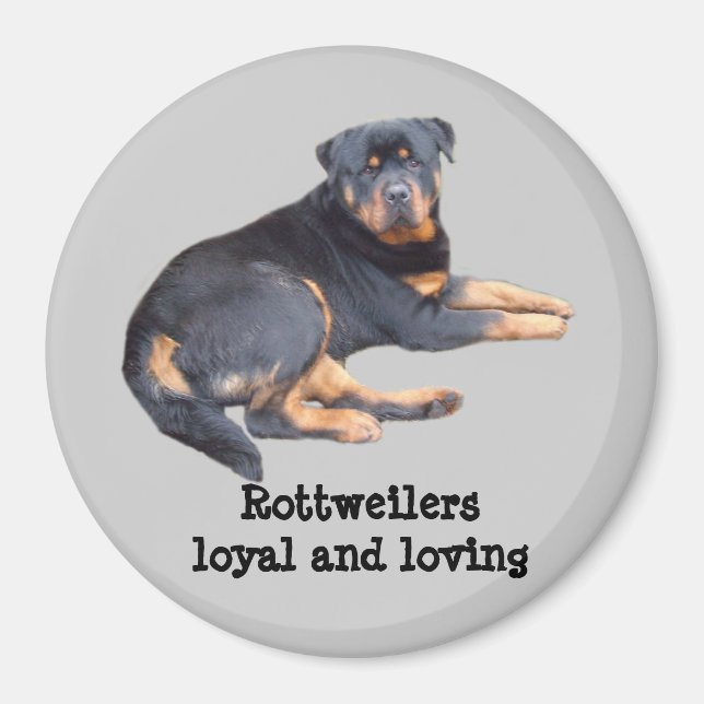 Rottweiler Magnet (Front)