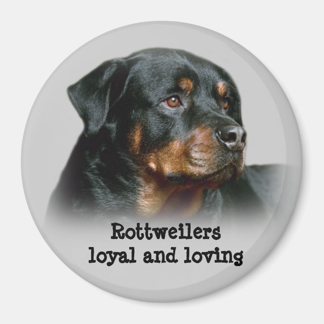 Rottweiler Magnet (Front)
