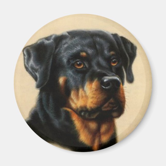 Rottweiler Magnet (Front)