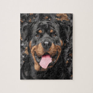 Rottweiler  - Metzgerhund Jigsaw Puzzle