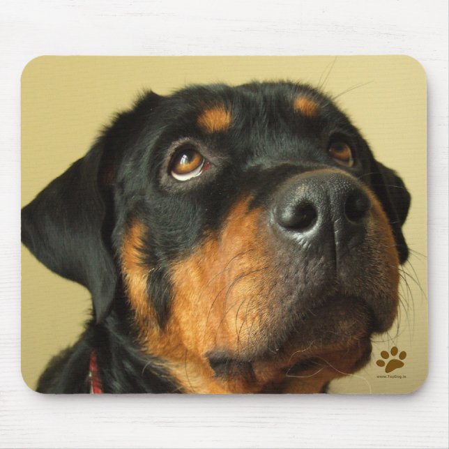 Rottweiler Mouse Pad (Front)
