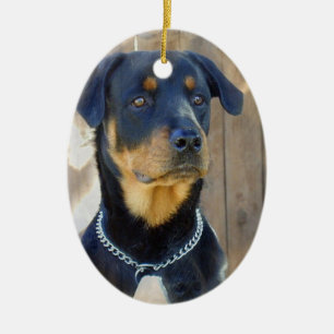 Rottweiler Ornament