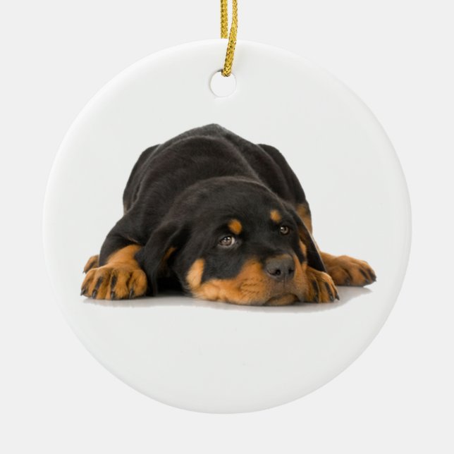 Rottweiler Ornament (Front)