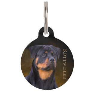 Rottweiler Pet Tag