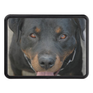Rottweiler Picture Trailer Hitch Cover