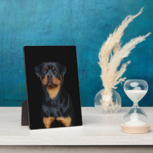 Rottweiler   plaque