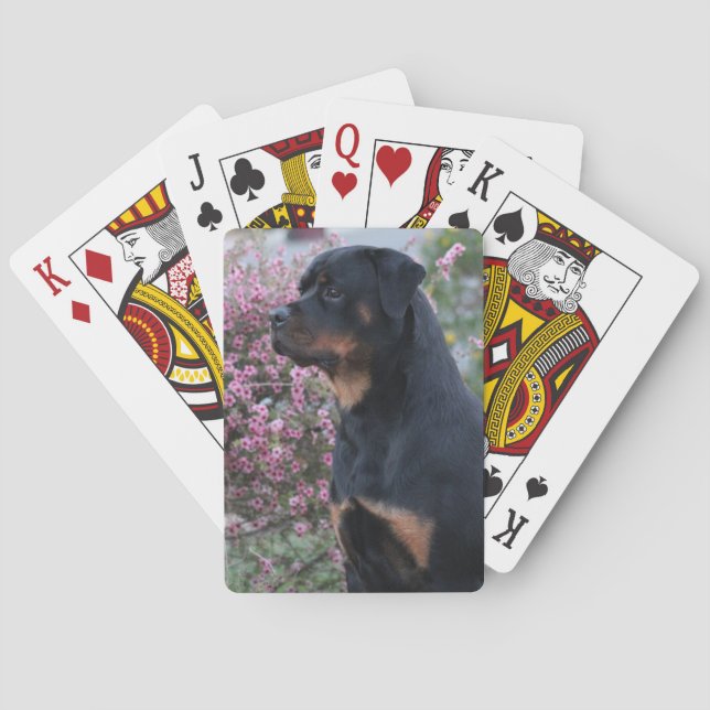 Rottweiler Playing Cards (Back)