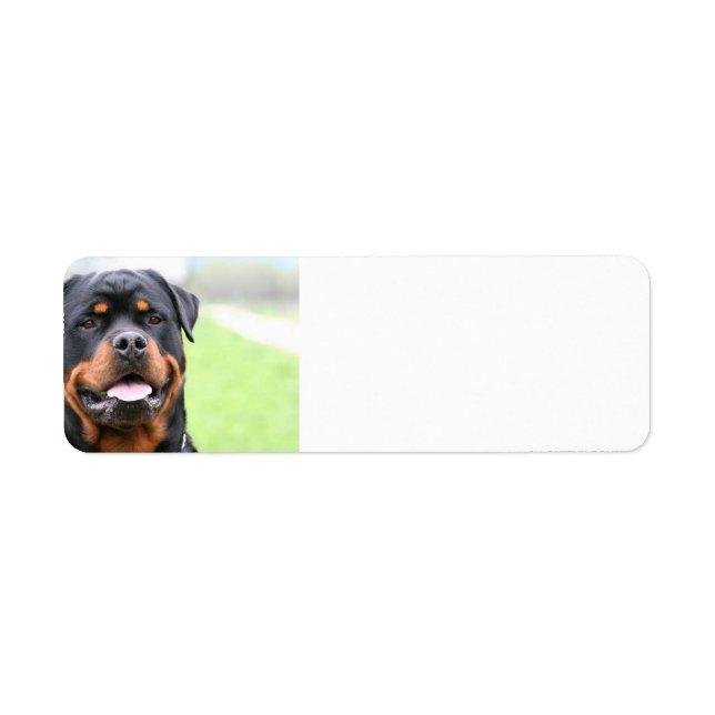 Rottweiler.png (Front)